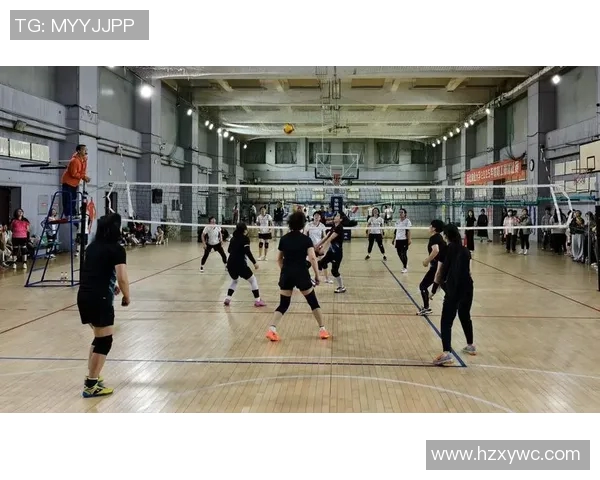 深圳排球队的速度变革引发热议展现新风貌与未来发展潜力